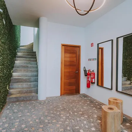 Flh Casa Branca Madeira Apartment