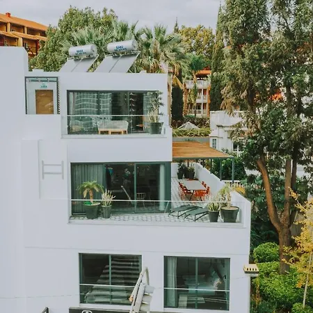 Flh Casa Branca Madeira *