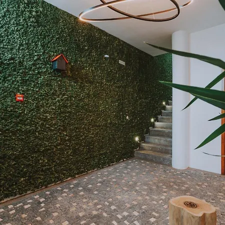 Apartment Flh Casa Branca Madeira